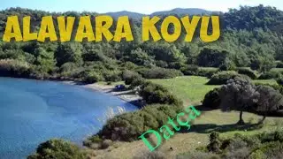 DATÇA ALAVARA KOYUNA ORMAN YOLUNDAN ULAŞIM