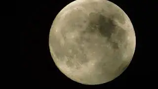 Strawberry Full Moon June 2020 filmed with a Nikon B500