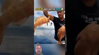 #fishing #fish #fishinglife #shortsfeed #dialough #fishingshorts #animals #machhaliwala#truedialogue