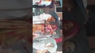 gyopavit sanskaar Ved vidhyalay  #veda #mantra #janeu #treding @fallower @highlights @commeters