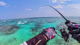 Reef Fishing For Big Fish On Tropical Island - Solo Island Fishing