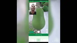 Penggunaan Aplikasi Plantsnap