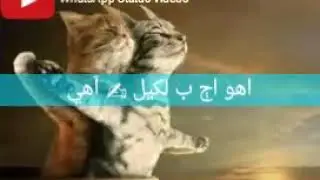 Sindhi WhatsApp Status Videos || Sindhi Songs ||