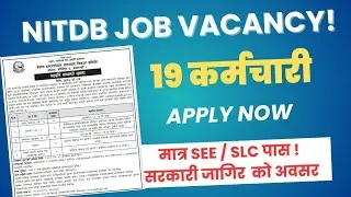NITDB Vacancy 2082 🔥 | Nepal Intermodal Transport Development Committee Job | New Govt Job Update