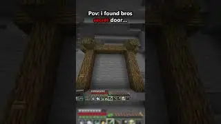 Pov i found bros secret door