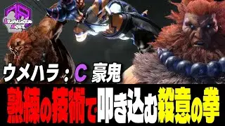 【ウメハラ】熟練の技術で叩き込む殺意の剛拳 ｜ウメハラ (豪鬼) vs テリー , ジュリ , ルーク 【 スト6 / SF6】