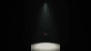 Discover the Hidden Glow Human Bodies Emit Invisible Light