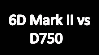 Canon 6D Mark II vs Nikon D750