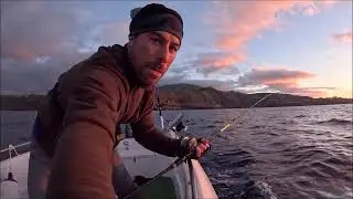 PESCA DE BARCO Á PROCURA DE PEIXE PARA A GRELHA