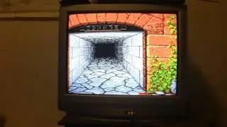 Dungeon Master (SNES)  Dungeon Doors