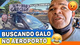 TROLLANDO GALO CEGO NO AEROPORTO | NA ESTRADA COM MUÇÃO