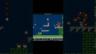SMB2 Tryclyde boss fight