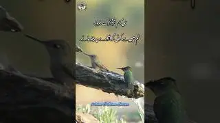 Qabar Par Mat Baitho | Hadees E Nabwi | Ashab E Islam Stories