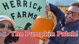 #Myeugeneoregonrealtor   WE found the perfect Pumpkins! Herrick Farms, Springfield, Oregon.