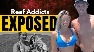 Что на самом деле случилось с любителями рифов? Тёмная правда о коралловой лихорадке