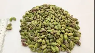 Olam Pistachios - Pasteurized USX1 80% Whole Kernels available on OlamNuts.com