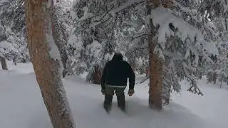 Raw and uncut of Skiboarding powder in trees. 2 laps and 2 songs