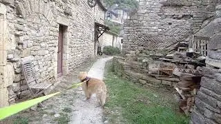 2025 09 10 rochecolombe