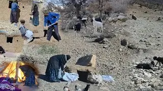 A true nomad means this!  |  House building, nesting and cooking in nature