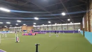 Paris' Redbone Coonhound Agility - UKI Sr/ Ch Speedstakes -- 1st run at this level 