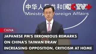 Japanese PM's Erroneous Remarks on China's Taiwan Draw Increasing Opposition, Criticism at Home