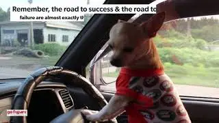Are you driving with clear vision?