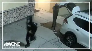 Police searching for people who stole from gun store
