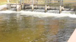 Improvements to Little Manistee Fish Weir