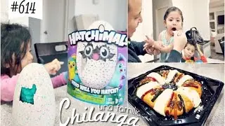 OLI TIENE UN HATCHIMAL + ROSCA PELIGROSA + OPERACIÓN REYES MAGOS!! VLOG #614