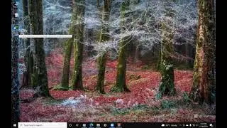 How to download and open adobe dimension