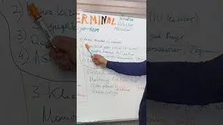 Terminal holatlarda 1-yordam