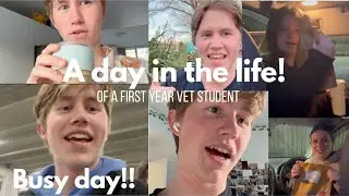 Day in the life of a first year vet student! (Vet school vlog)