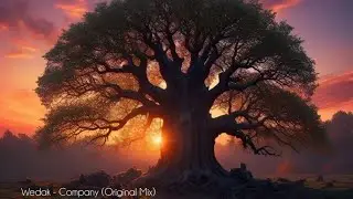 Wedak - Company  (Original Mix)