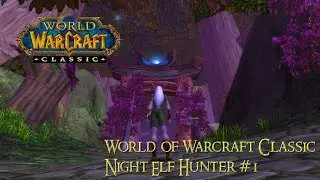 Let's Play World of Warcraft Classic - Chill Immersion - Night Elf Hunter #1