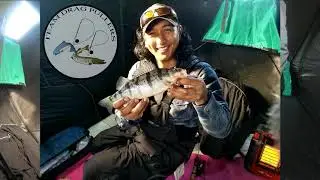 Simcoe Blue Perch!