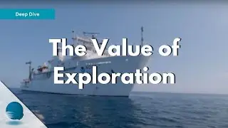 Deep Dive: The Value of Exploration