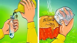 10 Trucs de Survie en Milieu Sauvage