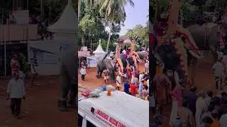 Kallupuram Palli Perunaal #shorts #destinygo  #kallupuramperunal #palliperunnal #trending