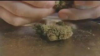 Pot and Pregnancy: Marijuana for morning sickness