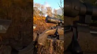 The @bergarainternational  B14 HMR in its natural environment     #bergara #bergarab14hmr #hunting