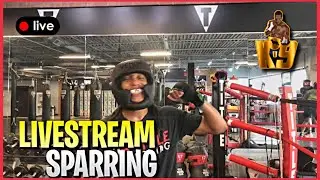 K9 Boxing 🔴Livestream: Sparring Session #11
