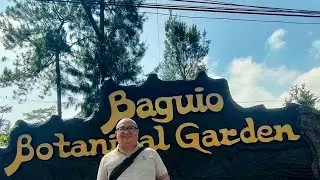 Baguio Botanical Garden: A Hidden Paradise in the City of Pines