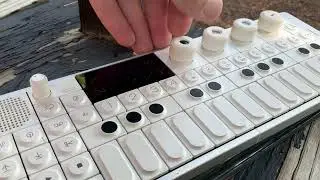 Park in D Major (ambient drone field recording)