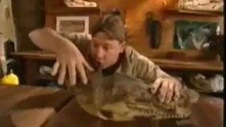 Steve Irwin : Croc Files 