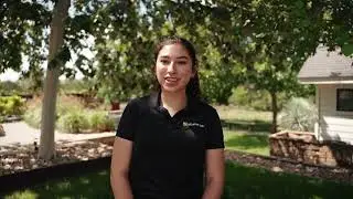 Agave Tree Services - Tree Care
