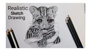animal sketch | realistic animal sketch | How to draw | animal sketch drawing for beginners