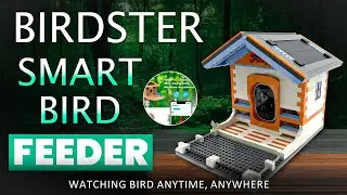 GET the AMAZING BIRDSTER SMART BIRD FEEDER | BIRD WATCHING CAMERA UNBOXING | The Dynamic Family