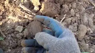 Mar 2013  Metal Detecting UK Deep finds with Garrett (pro pinpointer Euro Ace 150 250 350)