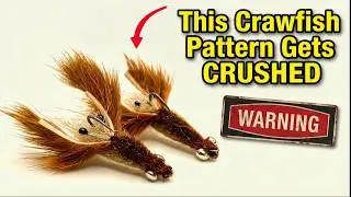 Tie This EASY Crawfish Fly Pattern for HUGE Fish! - Fly Tying Tutorial