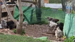 29.04.2021
